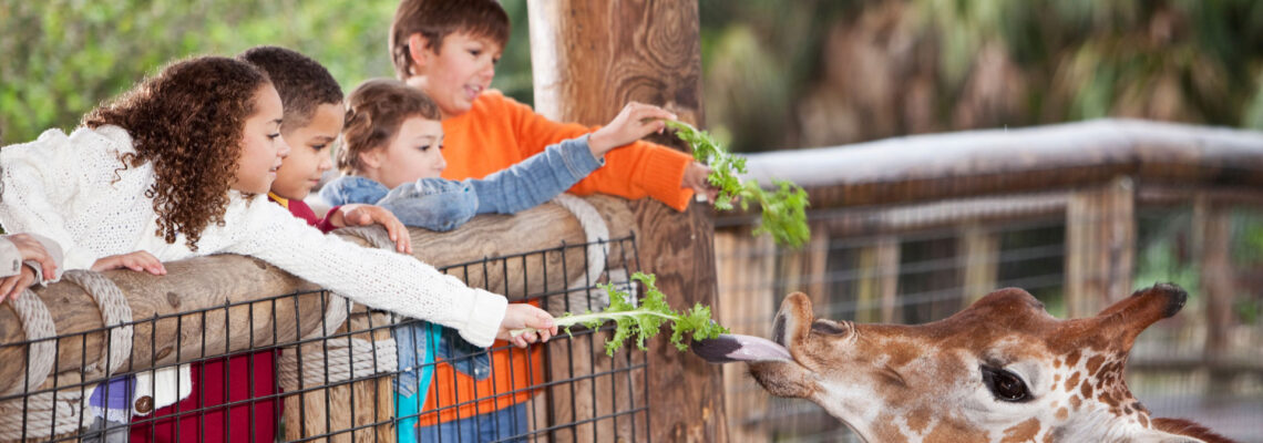 activité originale à Lyon