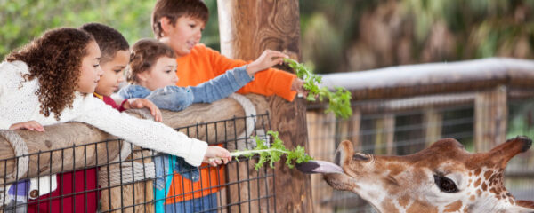 activité originale à Lyon
